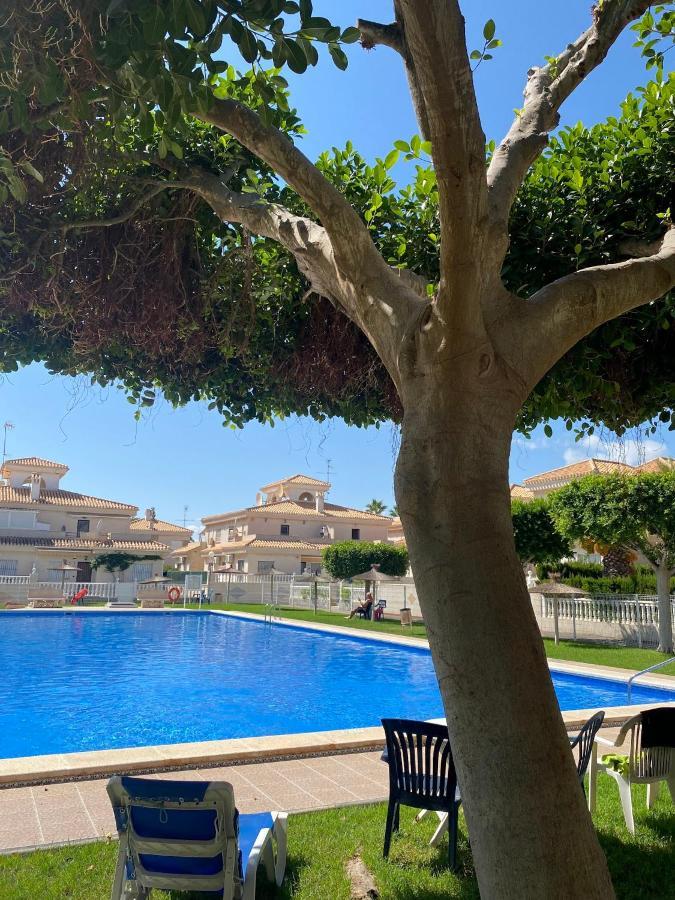 Greensuites La Zenia Torrevieja Плайя-Фламенка Экстерьер фото